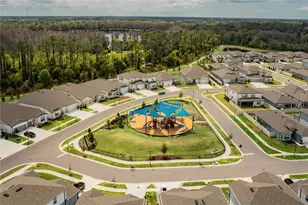 20864 Cherry River Rd, Land O Lakes, FL 34638 - Photo 46