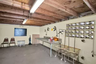 7801 34th Ave N, Saint Petersburg, FL 33710 - Photo 34