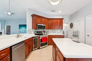 18028 Malakai Isle Dr, Tampa, FL 33647 - Photo 22