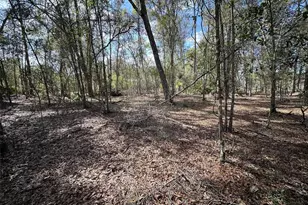 20403 Gamble Dr, Brooksville, FL 34601 - Photo 62