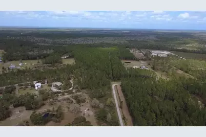Wild Cur Road, Pierson, FL 32180 - Photo 12