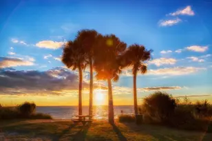 6327 S Renellie Ct, Tampa, FL 33616 - Photo 2