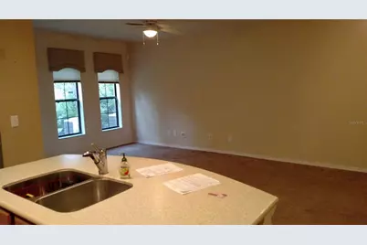 30105 Mossbank Drive, Wesley Chapel, FL 33543 - Photo 12