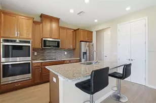 11918 Bahia Valley Dr, Riverview, FL 33579 - Photo 4