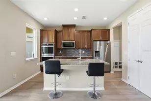 11918 Bahia Valley Dr, Riverview, FL 33579 - Photo 4