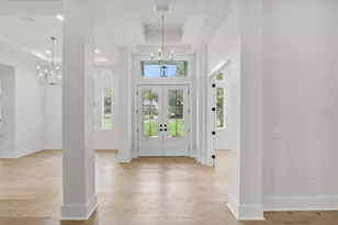 3317 Chase Jackson Br, Lutz, FL 33559 - Photo 4