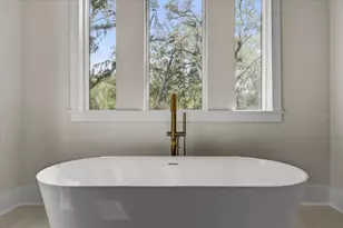 3317 Chase Jackson Br, Lutz, FL 33559 - Photo 58