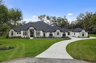 3317 Chase Jackson Br, Lutz, FL 33559 - Photo 2