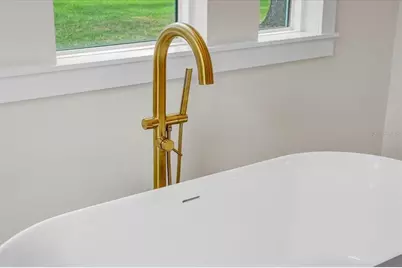 3317 Chase Jackson Branch, Lutz, FL 33559 - Photo 56