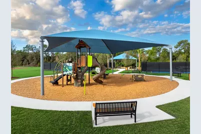 9167 Aurelia Avenue, Parrish, FL 34219 - Photo 30