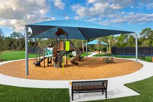 9167 Aurelia Ave, Parrish, FL 34219 - Photo 30