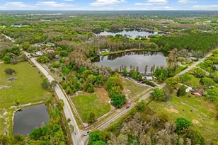 18150 Burrell Rd, Odessa, FL 33556 - Photo 14