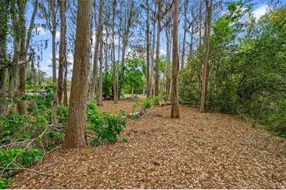 18150 Burrell Road, Odessa, FL 33556 - Photo 8