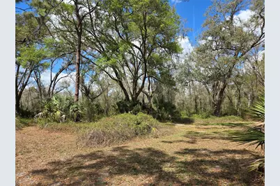 12503 Avery Road, Thonotosassa, FL 33592 - Photo 10