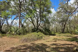 12503 Avery Rd, Thonotosassa, FL 33592 - Photo 10