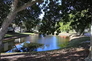 704 Hammock Pine Blvd, Clearwater, FL 33761 - Photo 40