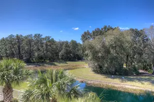 8263 Swann Hollow Dr, Tampa, FL 33647 - Photo 64