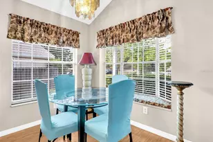 3728 Lake St George Dr, Palm Harbor, FL 34684 - Photo 4