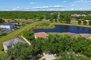 9515 Simeon Dr, Land O Lakes, FL 34638 - Photo 82