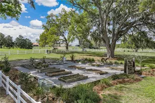 34428 Mission Valley Dr, Dade City, FL 33525 - Photo 82