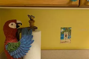 8105 Coconut Palm Way, Kissimmee, FL 34747 - Photo 18