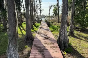 17011 Alderman Turner Rd, Wimauma, FL 33598 - Photo 4