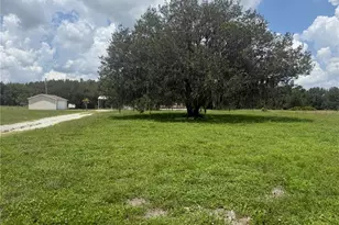 17011 Alderman Turner Rd, Wimauma, FL 33598 - Photo 4