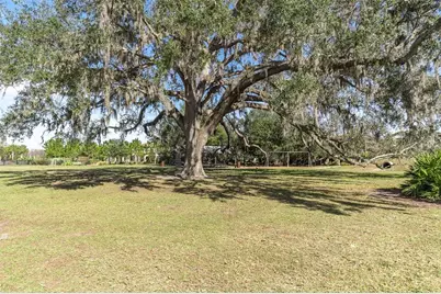 12303 Corkfield Lane, Odessa, FL 33556 - Photo 54