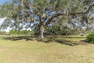 12303 Corkfield Ln, Odessa, FL 33556 - Photo 66