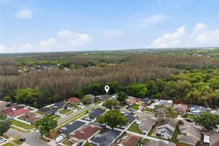 11914 Sugar Tree Dr, Tampa, FL 33625 - Photo 40