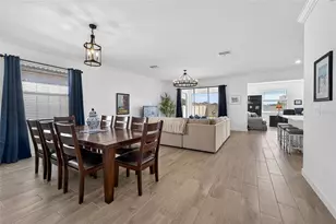 17212 Holly Wl Ave, Wimauma, FL 33598 - Photo 30