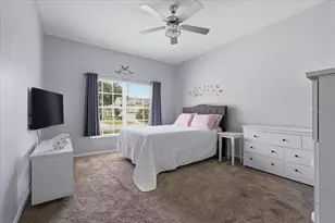 1171 Royal Blvd, Palm Harbor, FL 34684 - Photo 28