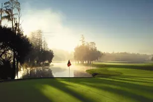 36750 US Hwy 19, Palm Harbor, FL 34684 - Photo 52