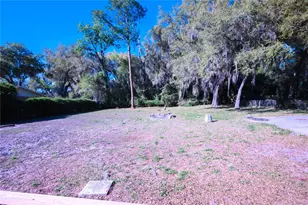 1198 Cr 464, Lake Panasoffkee, FL 33538 - Photo 12
