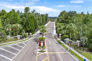 16518 Ivy Lake Dr, Odessa, FL 33556 - Photo 80