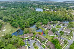 40 Sylvia Pl, Oldsmar, FL 34677 - Photo 38