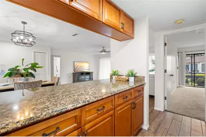 40 Sylvia Place, Oldsmar, FL 34677 - Photo 16