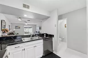 16143 Rambling Vine Dr E, Tampa, FL 33624 - Photo 60