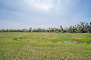 6002 Watercolor Dr, Lithia, FL 33547 - Photo 40