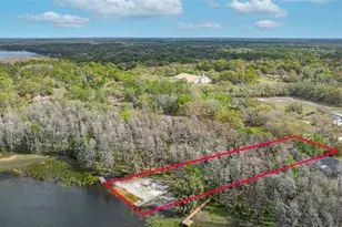 19202 Rogers Rd, Odessa, FL 33556 - Photo 46