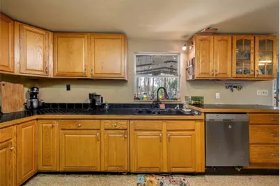 19202 Rogers Road, Odessa, FL 33556 - Photo 24