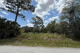 Lot 94 Galvenston St, Spring Hill, FL 34610 - Photo 1