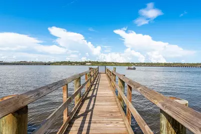 1008 Mango Court, Oldsmar, FL 34677 - Photo 56
