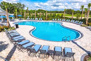 12411 Gust Ct, Hudson, FL 34669 - Photo 34