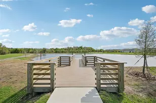 14162 Swiss Bridge Dr, Riverview, FL 33579 - Photo 42