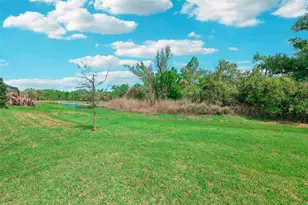 14162 Swiss Bridge Dr, Riverview, FL 33579 - Photo 30