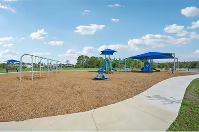 14162 Swiss Bridge Drive, Riverview, FL 33579 - Photo 40