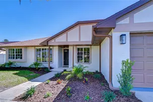 15143 Springview St, Tampa, FL 33624 - Photo 4