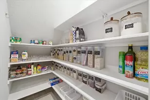 8327 Wildflower Glen Ave, Odessa, FL 33556 - Photo 16