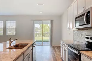 11828 Cara Field Ave, Riverview, FL 33579 - Photo 8